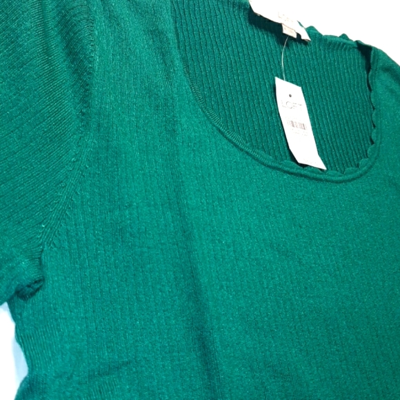 Ann Taylor LOFT Beautiful scallopped edge Short Sleeve Sweater Top☆ XL - Picture 7 of 13
